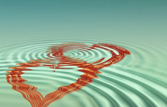 روكوبت كازينو الدعم